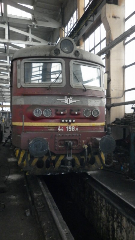 Красивата 44198